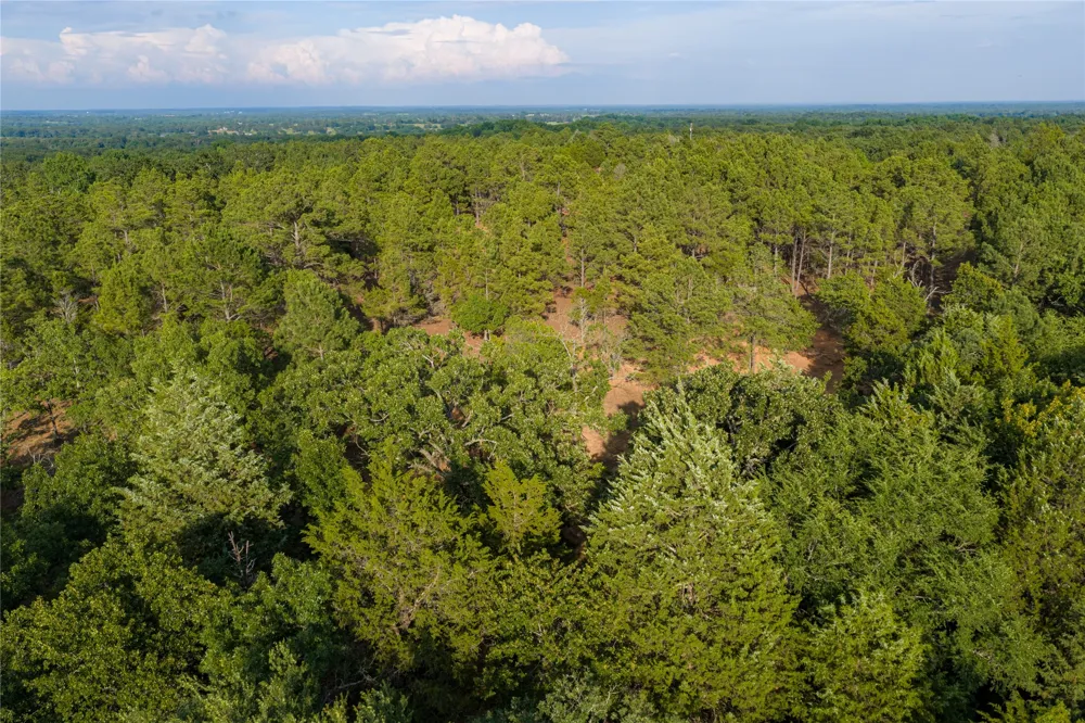 3350 Fm 1256 Eustace, TX 75124