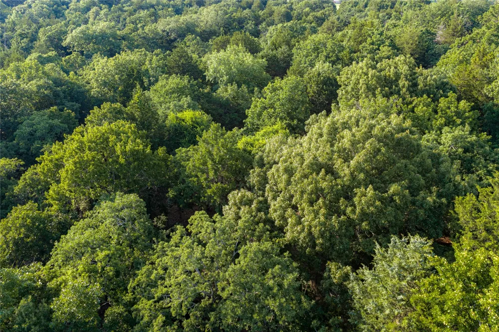 3350 Fm 1256 Eustace, TX 75124