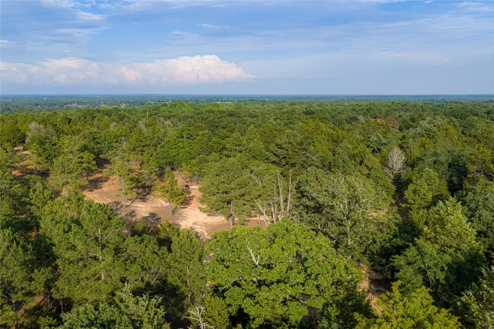 3350 Fm 1256 Eustace, TX 75124