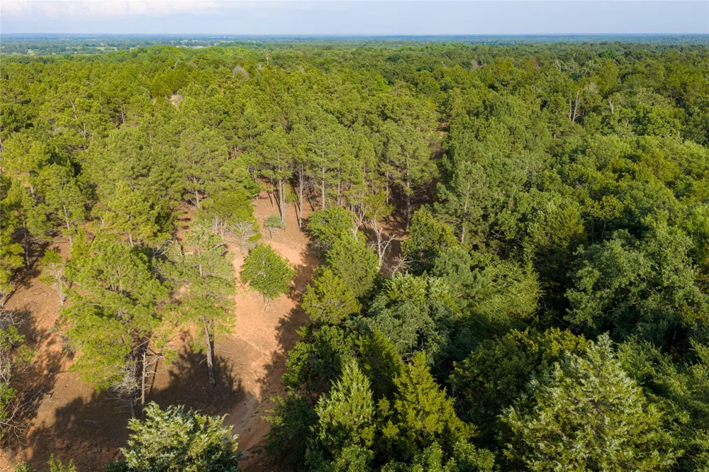 3350 Fm 1256 Eustace, TX 75124