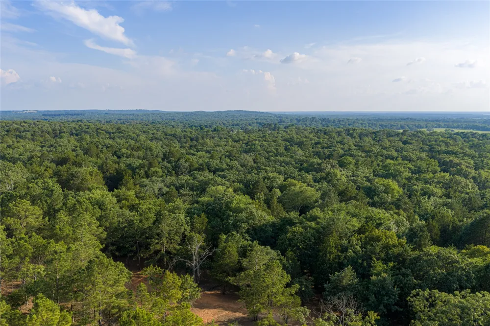 3350 Fm 1256 Eustace, TX 75124