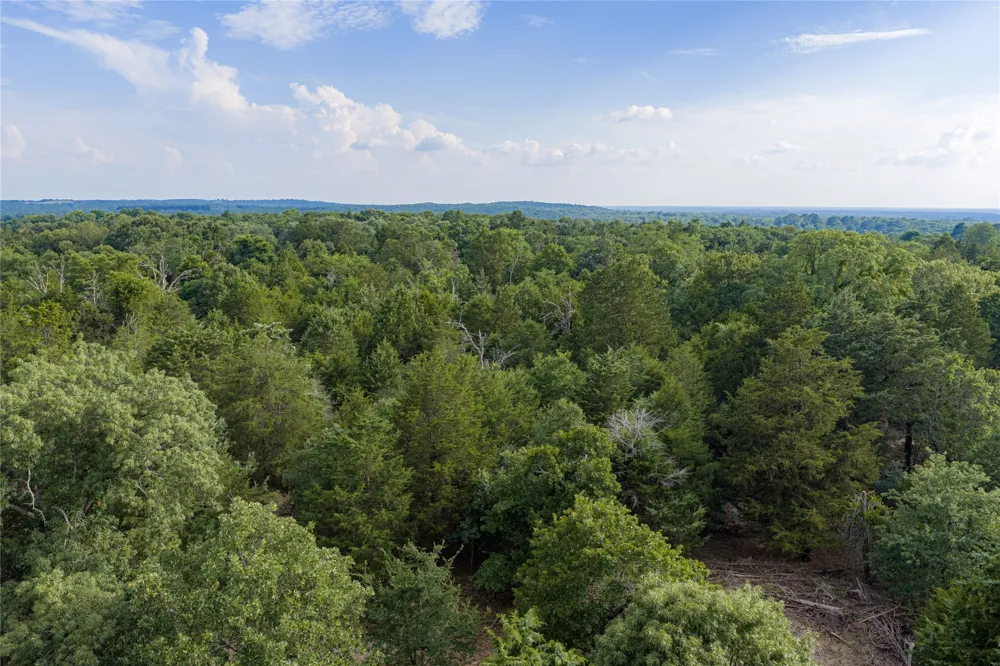 3350 Fm 1256 Eustace, TX 75124