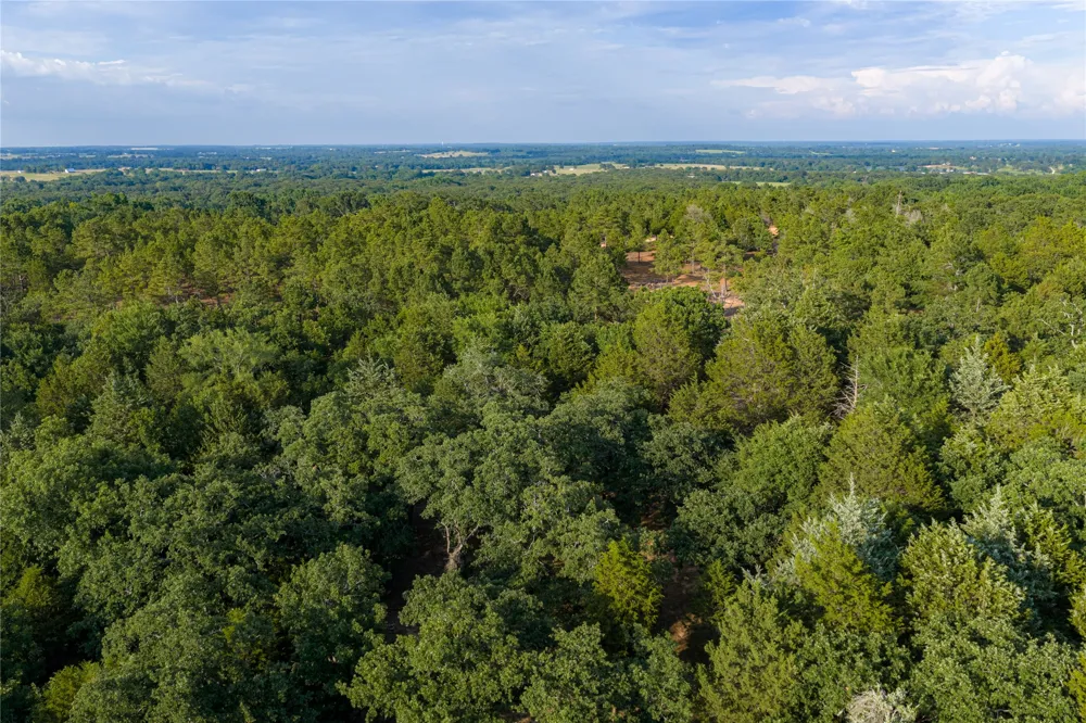 3350 Fm 1256 Eustace, TX 75124