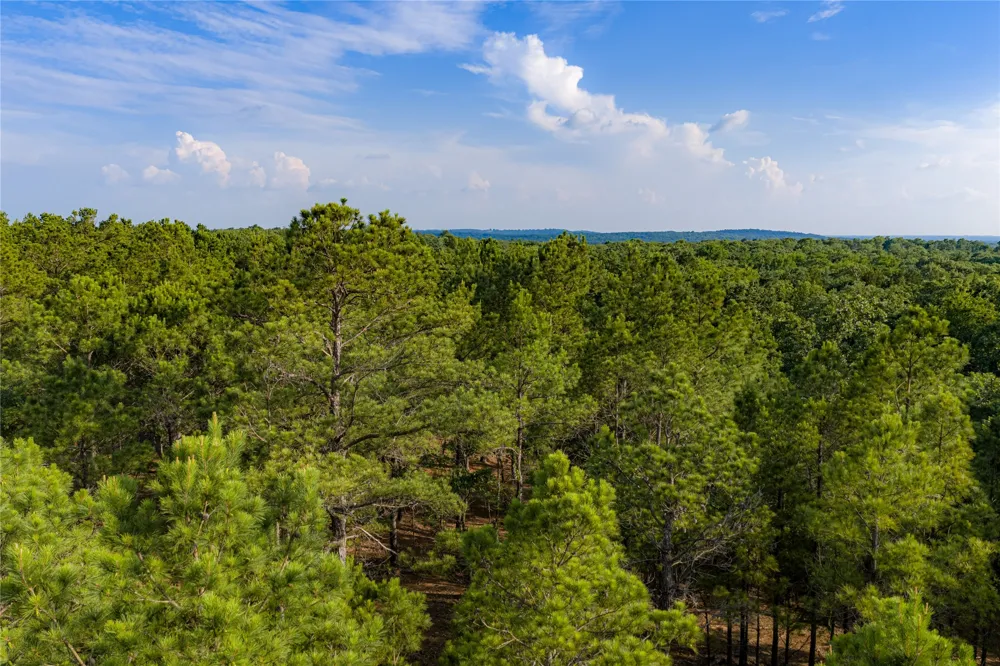 3350 Fm 1256 Eustace, TX 75124