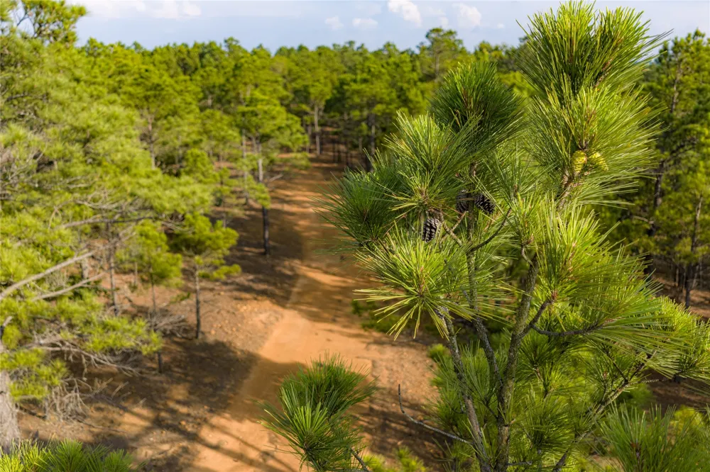 3350 Fm 1256 Eustace, TX 75124