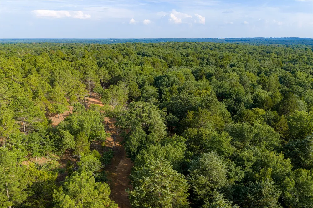 3350 Fm 1256 Eustace, TX 75124
