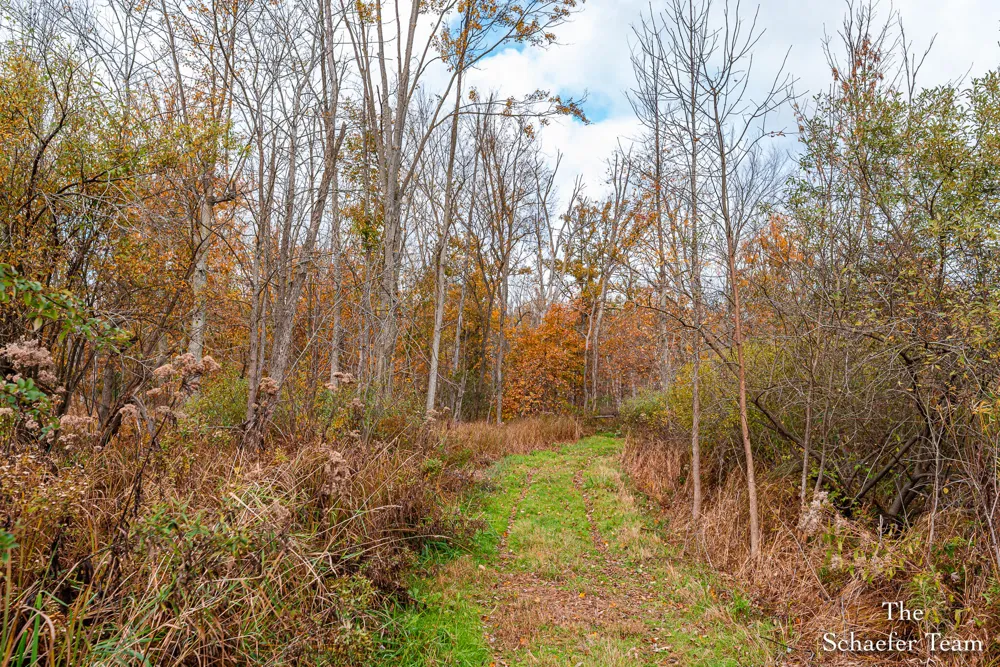 7758 Riverside Drive Saranac, MI 48881