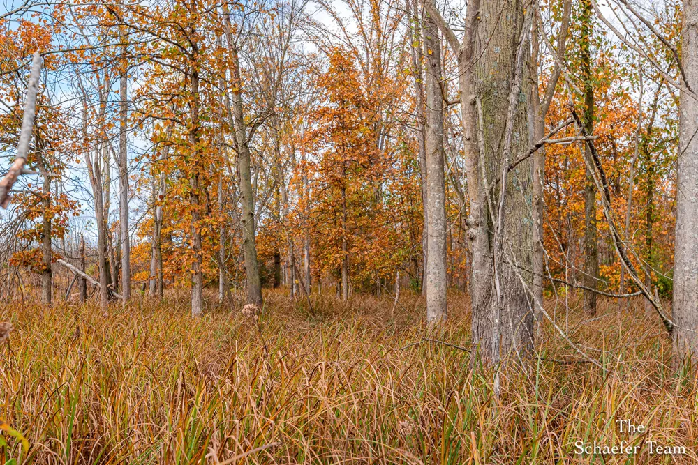 7758 Riverside Drive Saranac, MI 48881