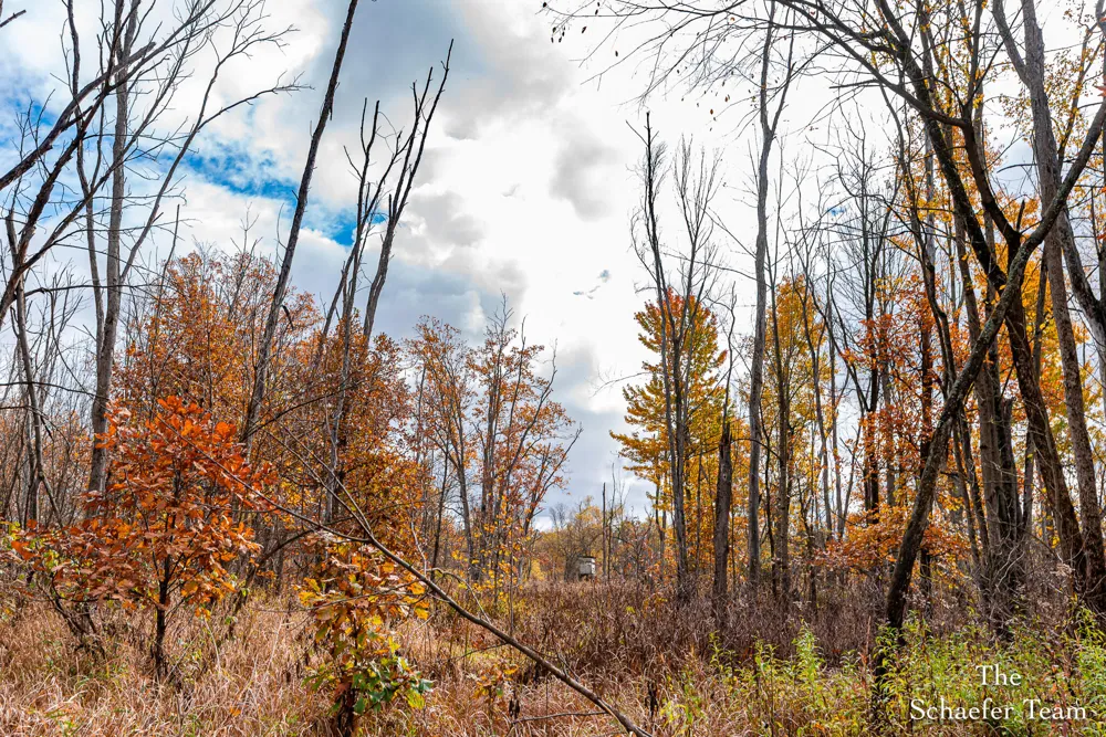 7758 Riverside Drive Saranac, MI 48881