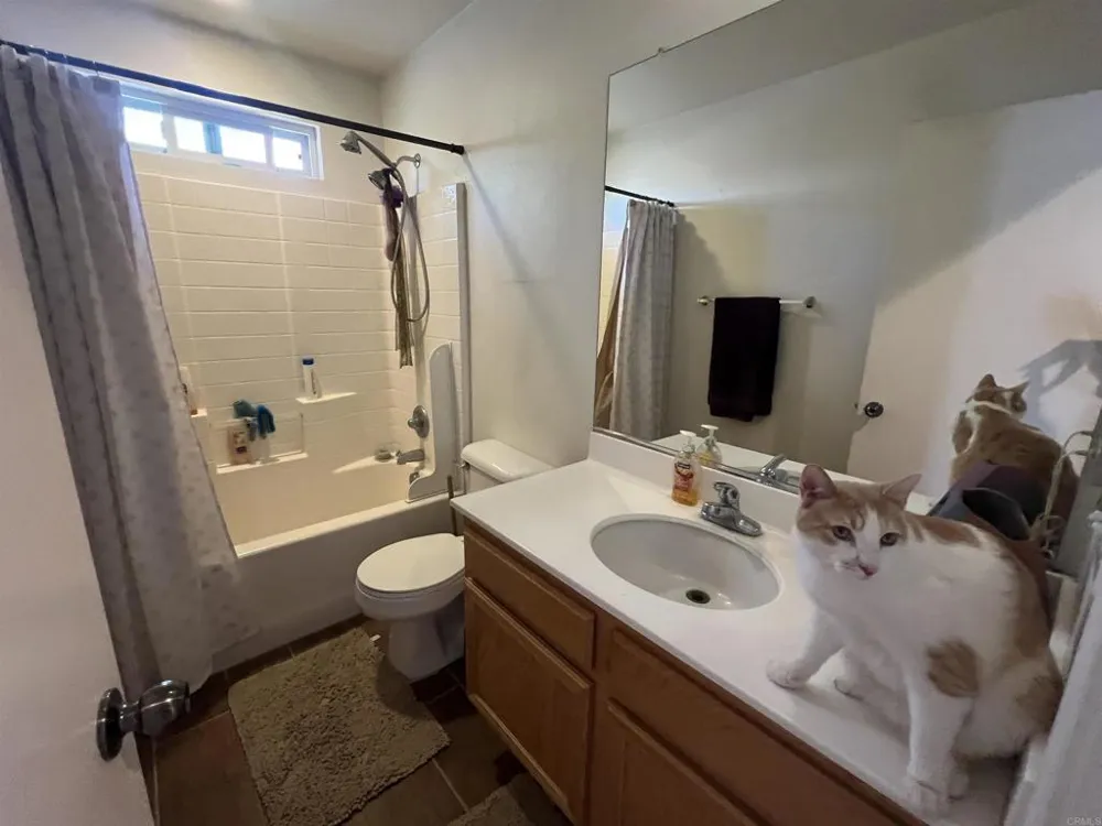 32244 Acorn Trail Campo, CA 91906