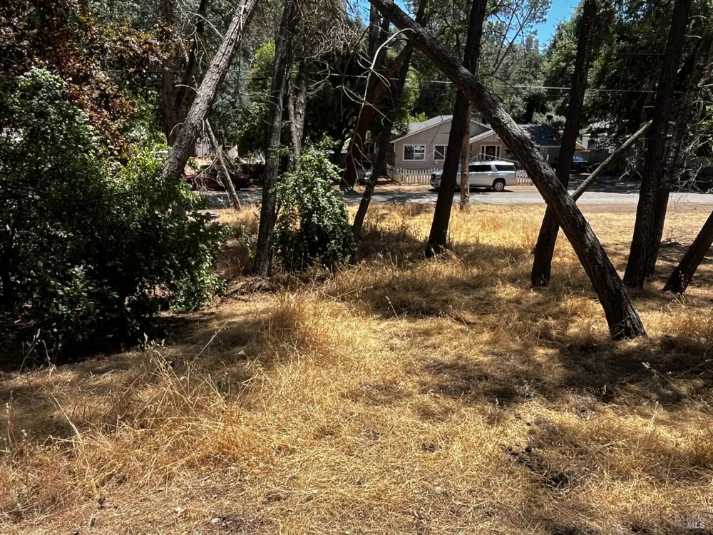 5664 Crawford Avenue Clearlake, CA 95422