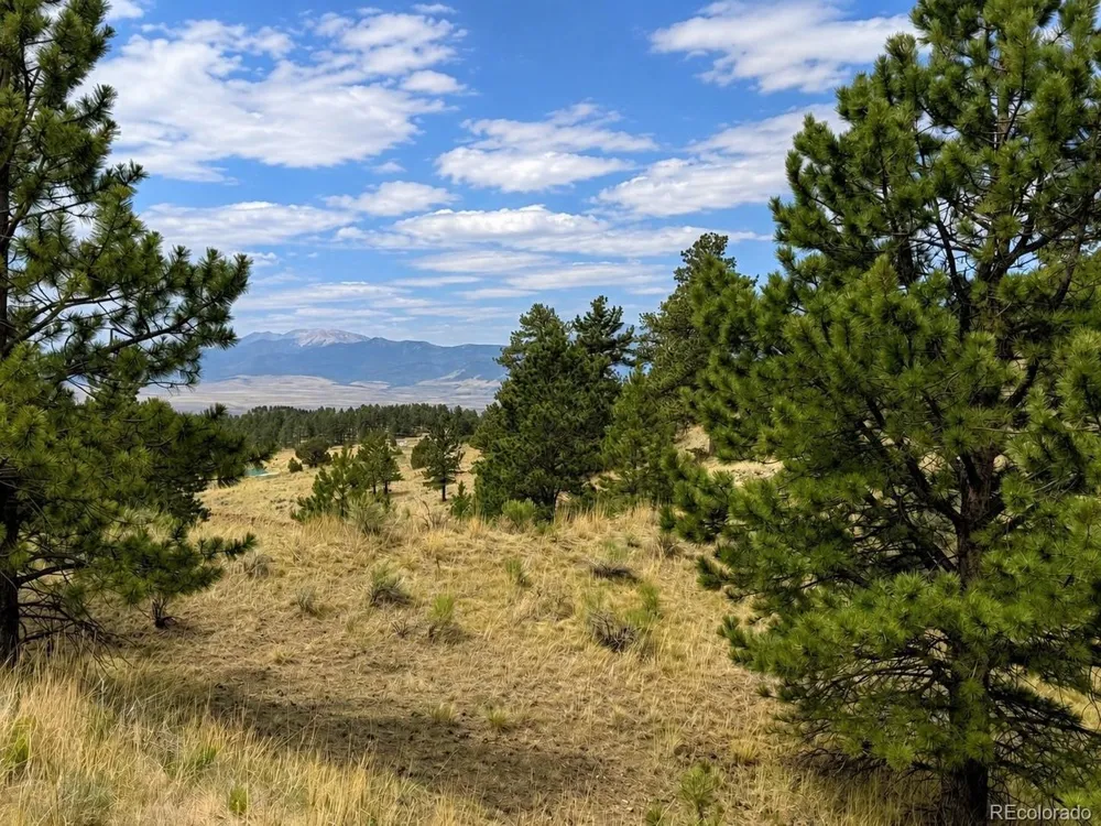 1054 Keepsake Loop Westcliffe, CO 81252