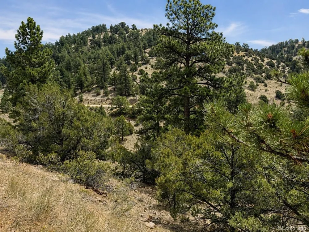 1054 Keepsake Loop Westcliffe, CO 81252