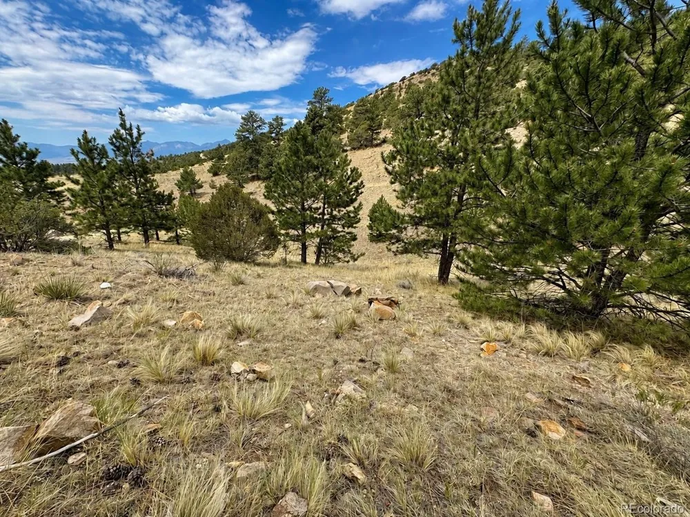 1054 Keepsake Loop Westcliffe, CO 81252