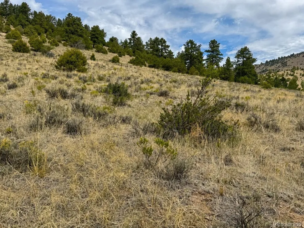1054 Keepsake Loop Westcliffe, CO 81252