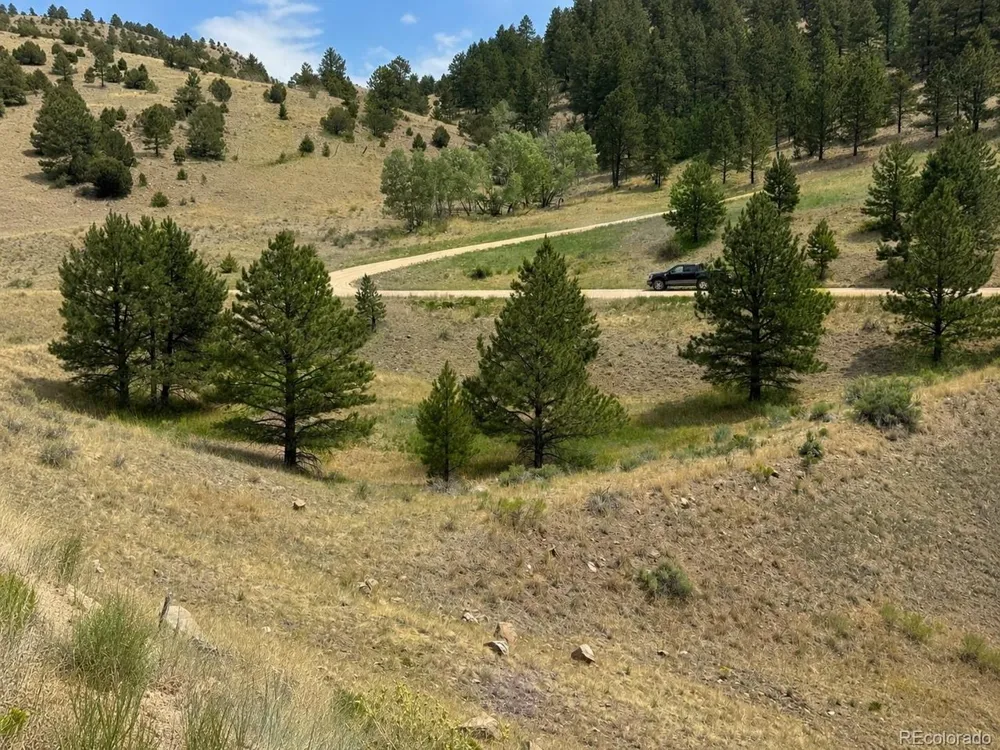 1054 Keepsake Loop Westcliffe, CO 81252