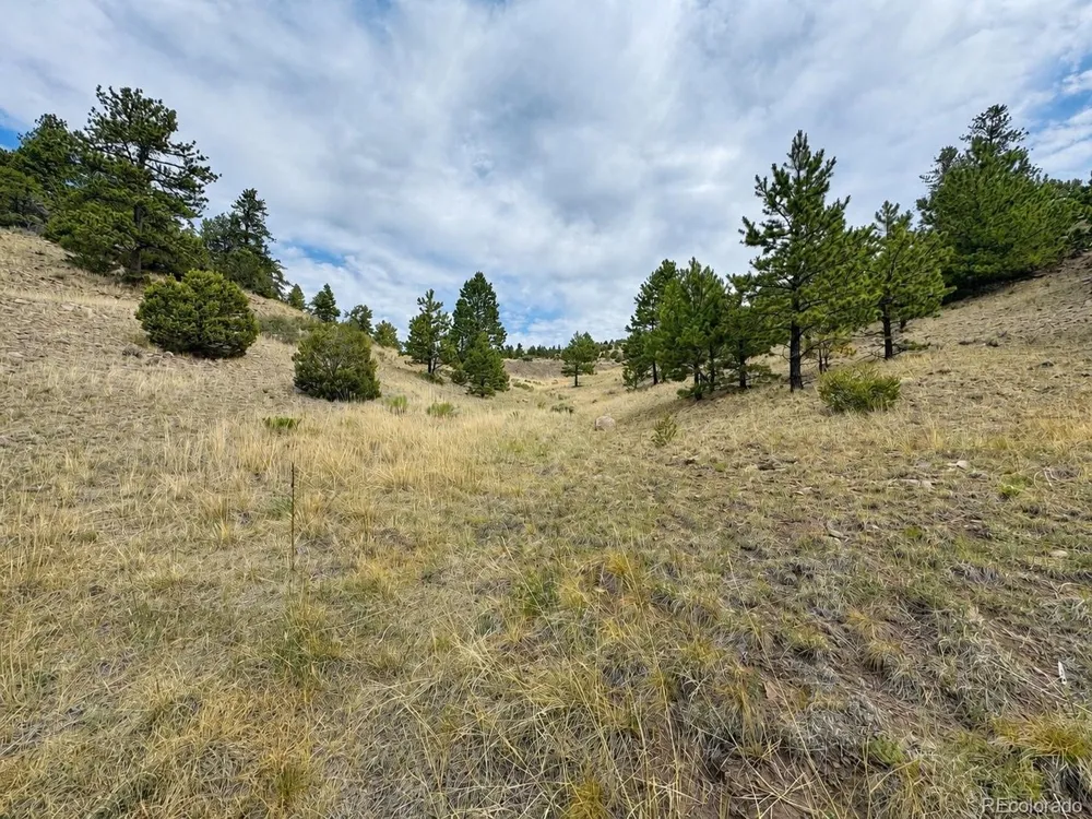 1054 Keepsake Loop Westcliffe, CO 81252