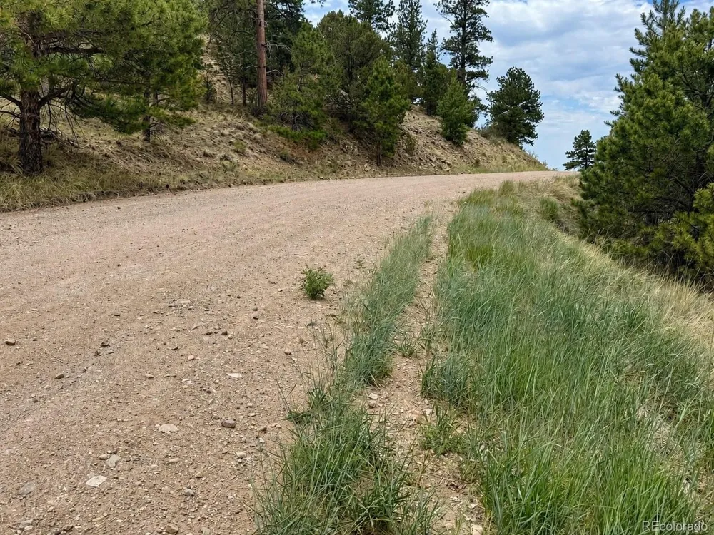 1054 Keepsake Loop Westcliffe, CO 81252