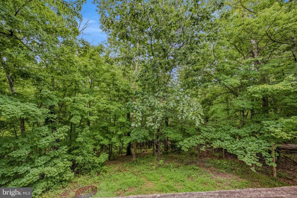 602 PLUM TREE LANE Berkeley Springs, WV 25411
