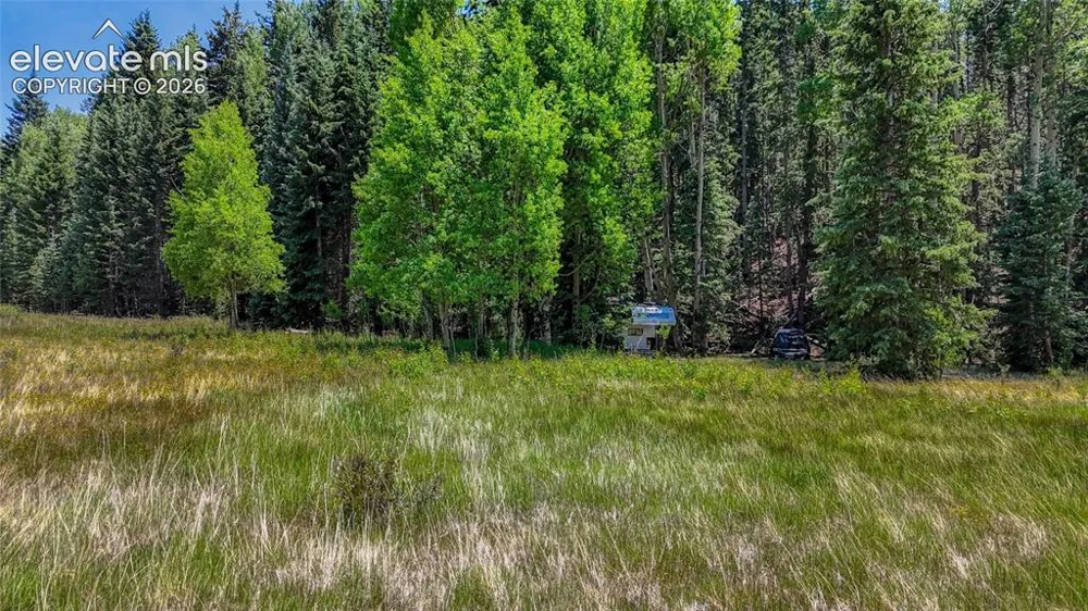 Highway 67 Cripple Creek, CO 80813
