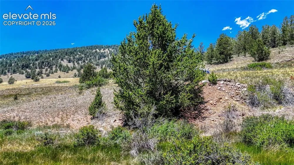 Highway 67 Cripple Creek, CO 80813