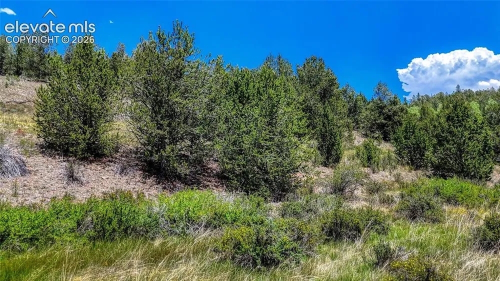 Highway 67 Cripple Creek, CO 80813