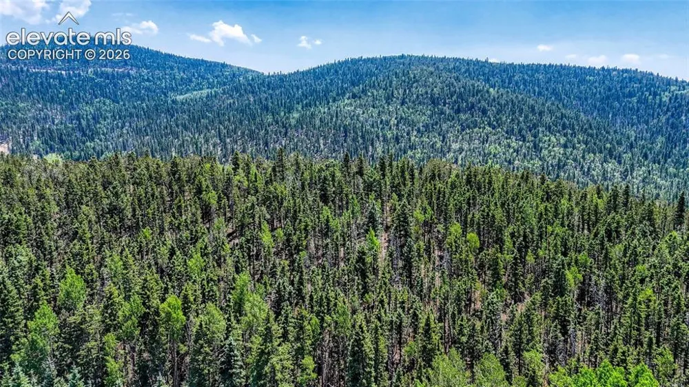 Highway 67 Cripple Creek, CO 80813