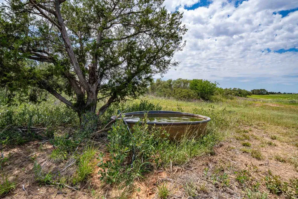 3599 County Road 413 Anson, TX 79501