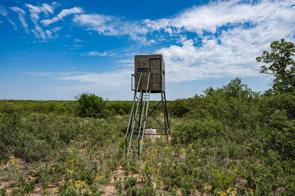 3599 County Road 413 Anson, TX 79501