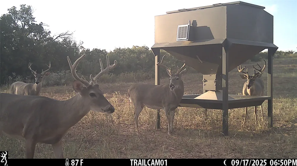 3599 County Road 413 Anson, TX 79501