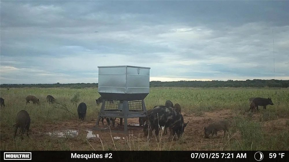 3599 County Road 413 Anson, TX 79501