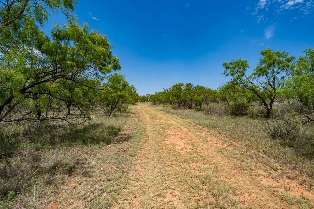 3599 County Road 413 Anson, TX 79501