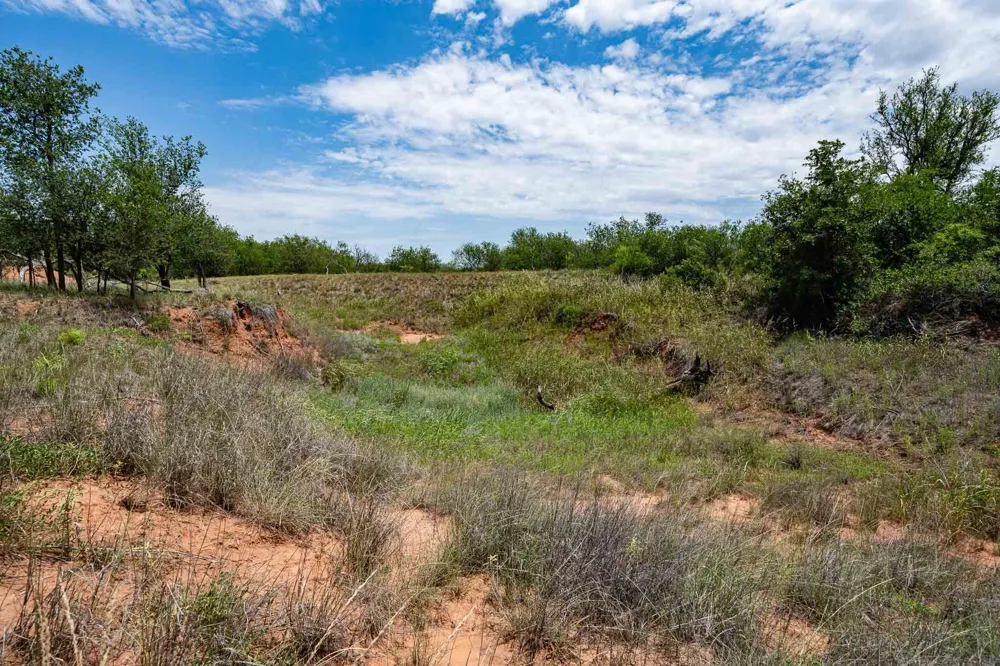 3599 County Road 413 Anson, TX 79501