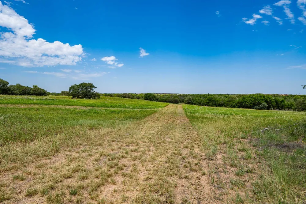 3599 County Road 413 Anson, TX 79501