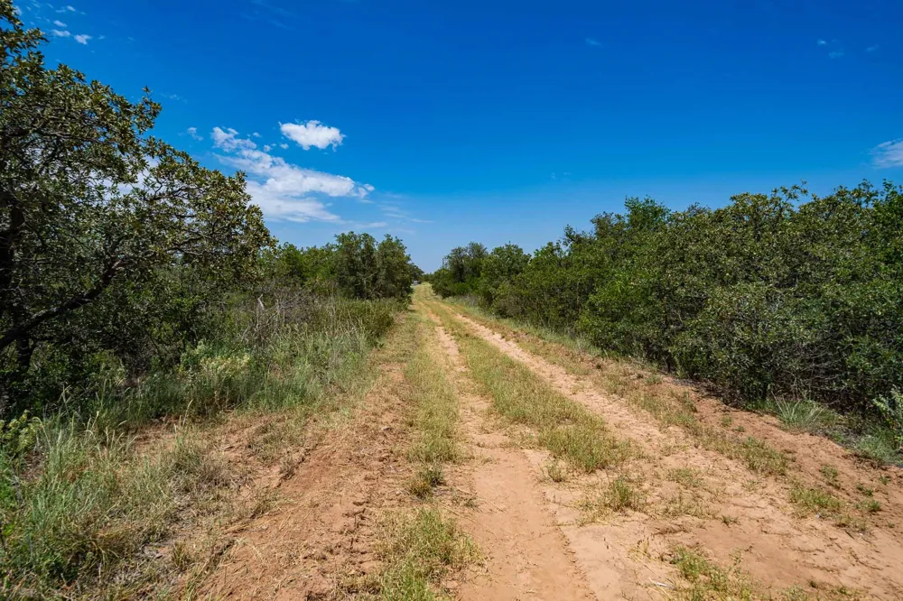 3599 County Road 413 Anson, TX 79501