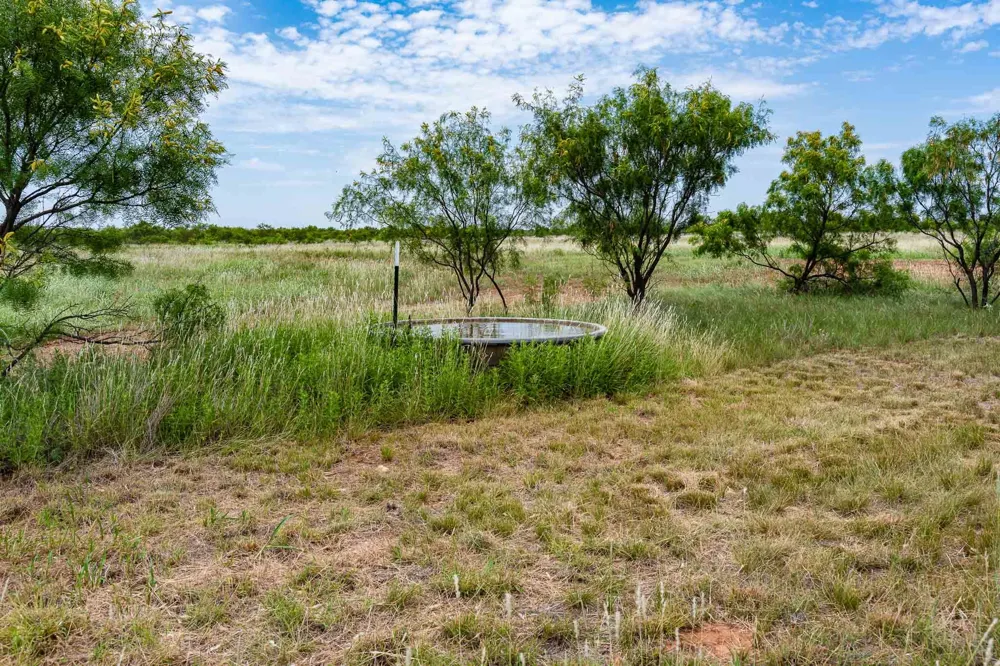 3599 County Road 413 Anson, TX 79501
