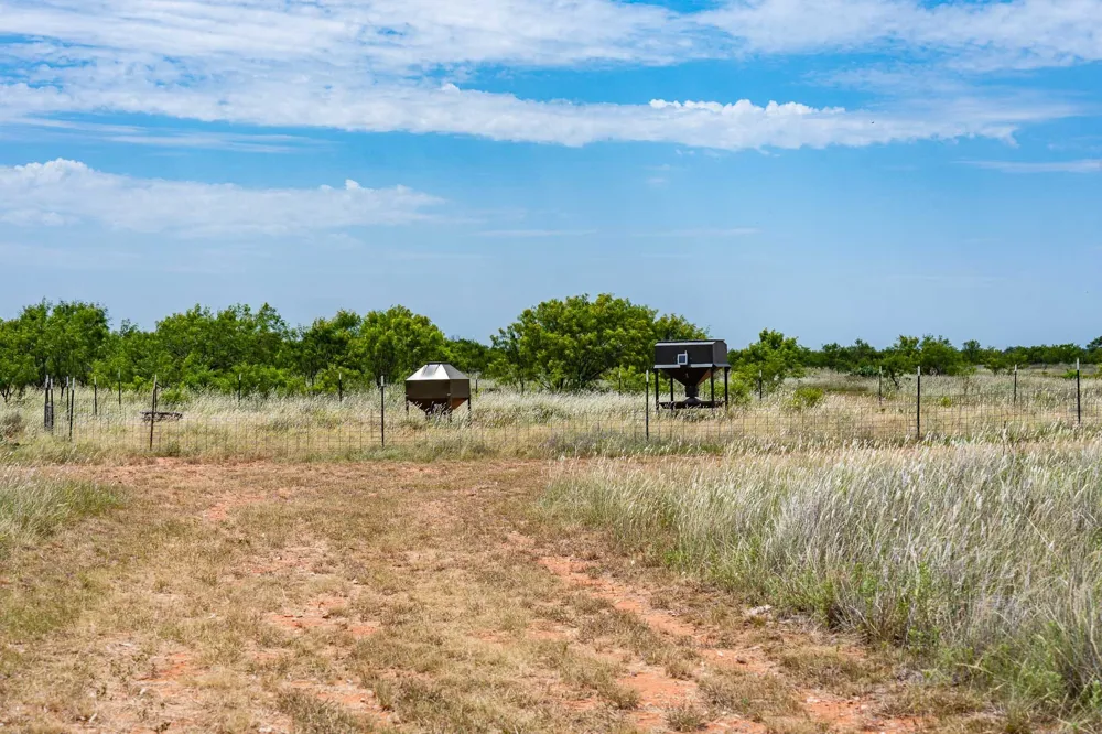 3599 County Road 413 Anson, TX 79501