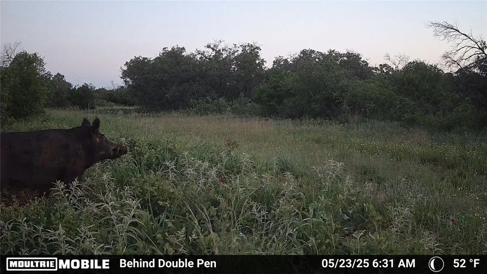 3599 County Road 413 Anson, TX 79501
