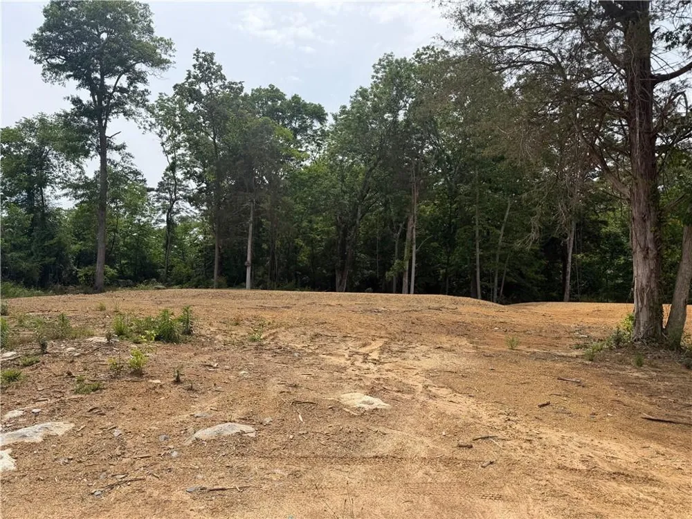 0 Ronnie Road Cedartown, GA 30125