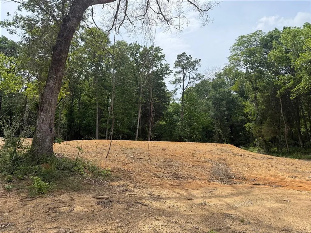 0 Ronnie Road Cedartown, GA 30125