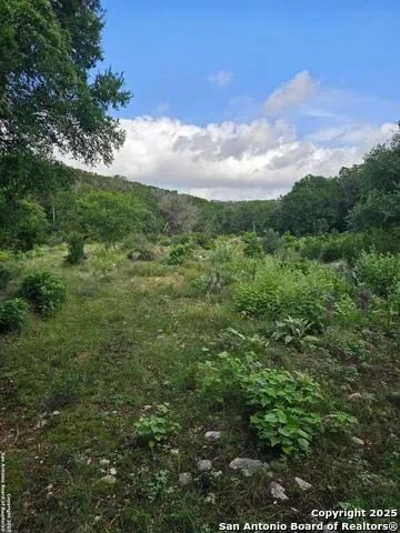 TBD Happy Hollow New Braunfels, TX 78132