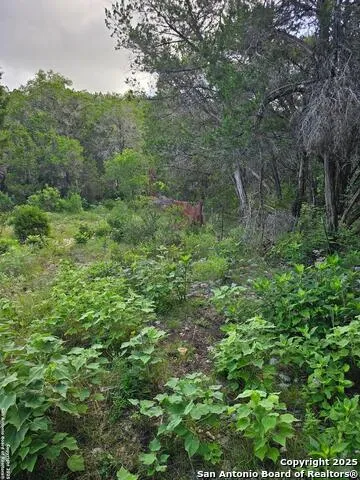 TBD Happy Hollow New Braunfels, TX 78132