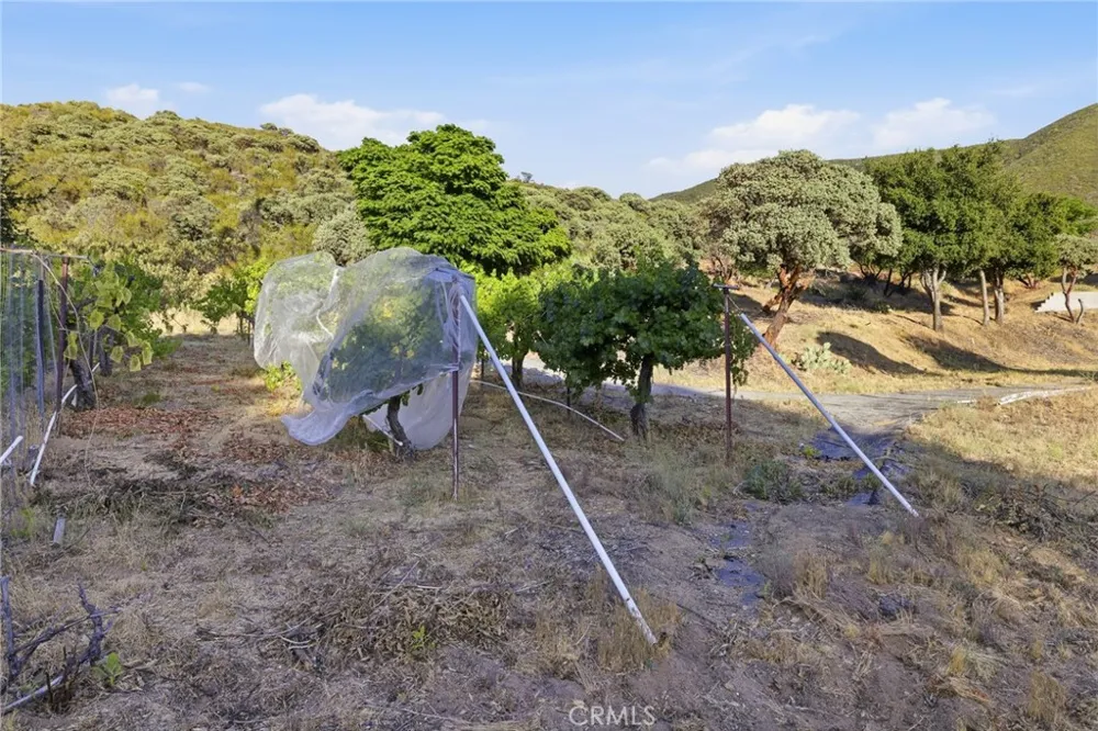 38735 San Francisquito Canyon Road Green Valley, CA 91390