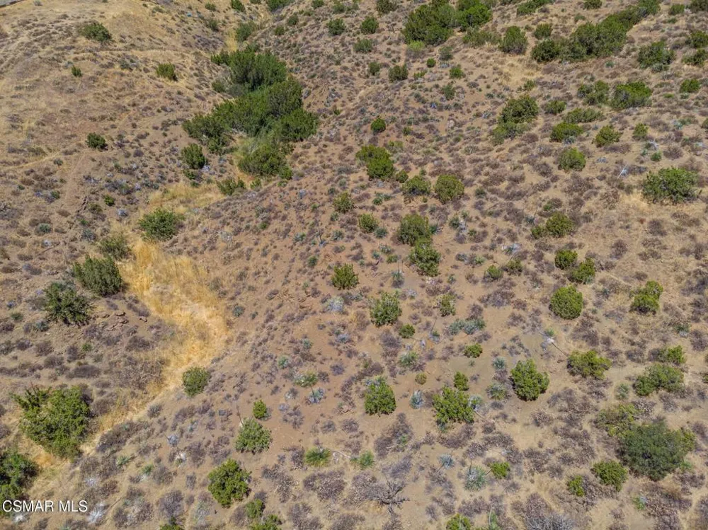 Big Springs Road Road Agua Dulce, CA 91350