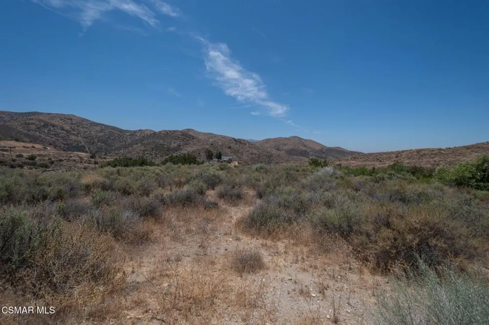 Big Springs Road Road Agua Dulce, CA 91350