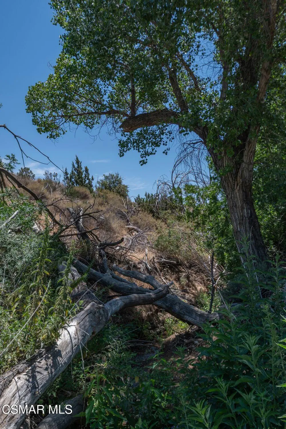 Big Springs Road Road Agua Dulce, CA 91350