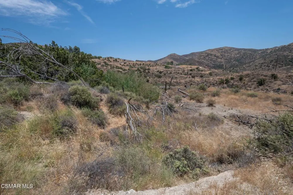 Big Springs Road Road Agua Dulce, CA 91350