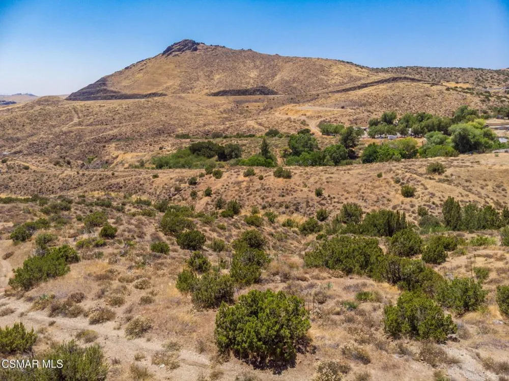 Big Springs Road Road Agua Dulce, CA 91350