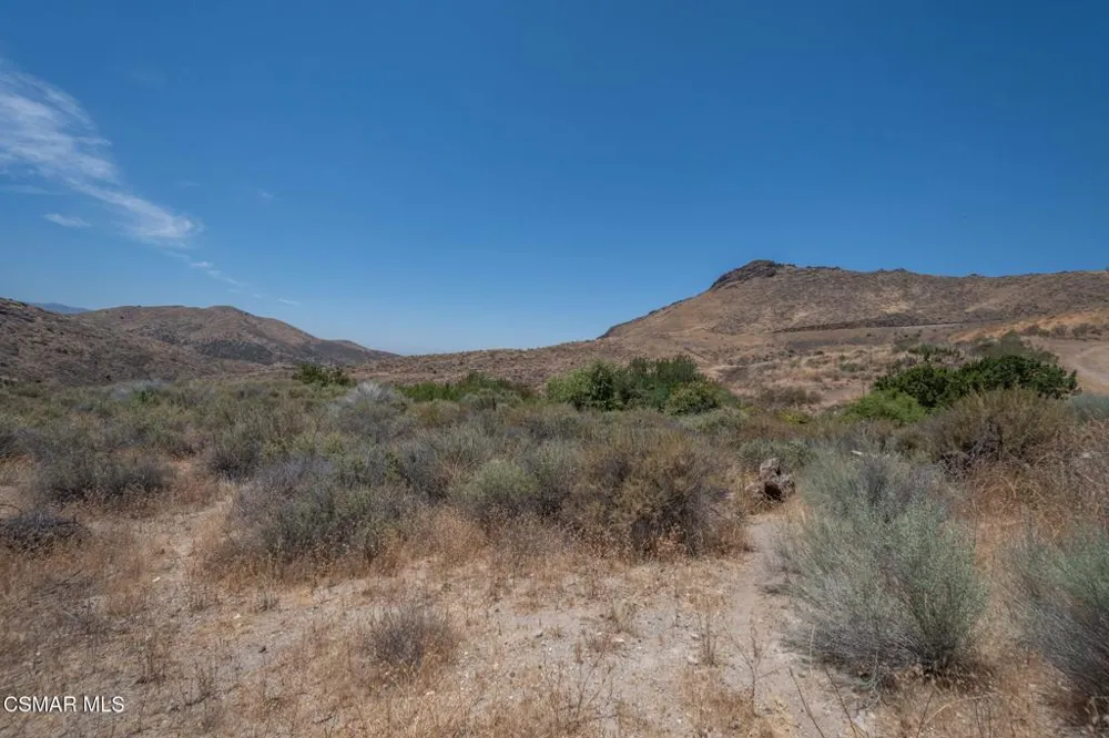 Big Springs Road Road Agua Dulce, CA 91350