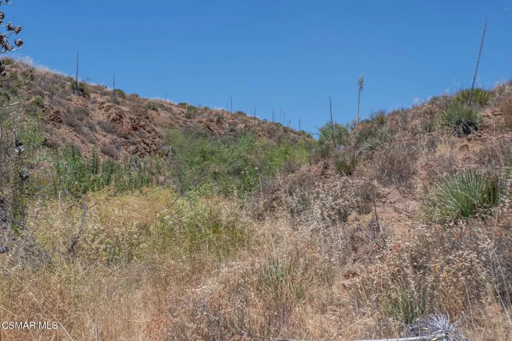 Big Springs Road Road Agua Dulce, CA 91350